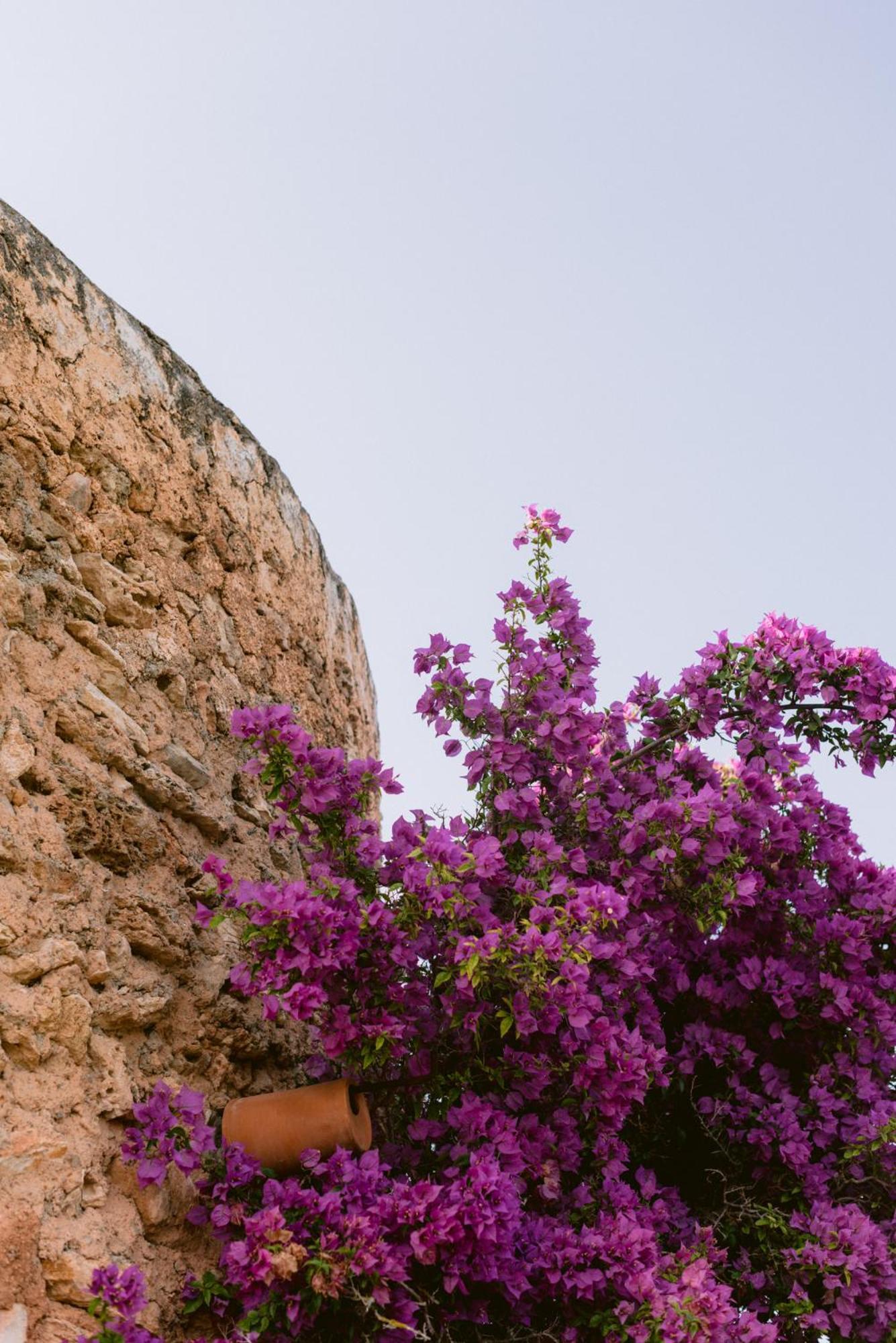 Can Quince Balafia Ibiza Hotel - Turismo De Interior Sant Llorenc de Balafia Dış mekan fotoğraf