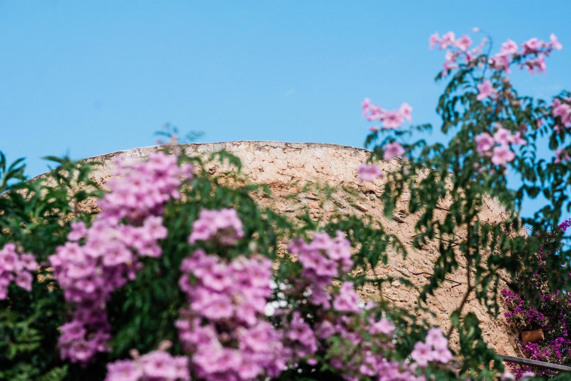 Can Quince Balafia Ibiza Hotel - Turismo De Interior Sant Llorenc de Balafia Dış mekan fotoğraf