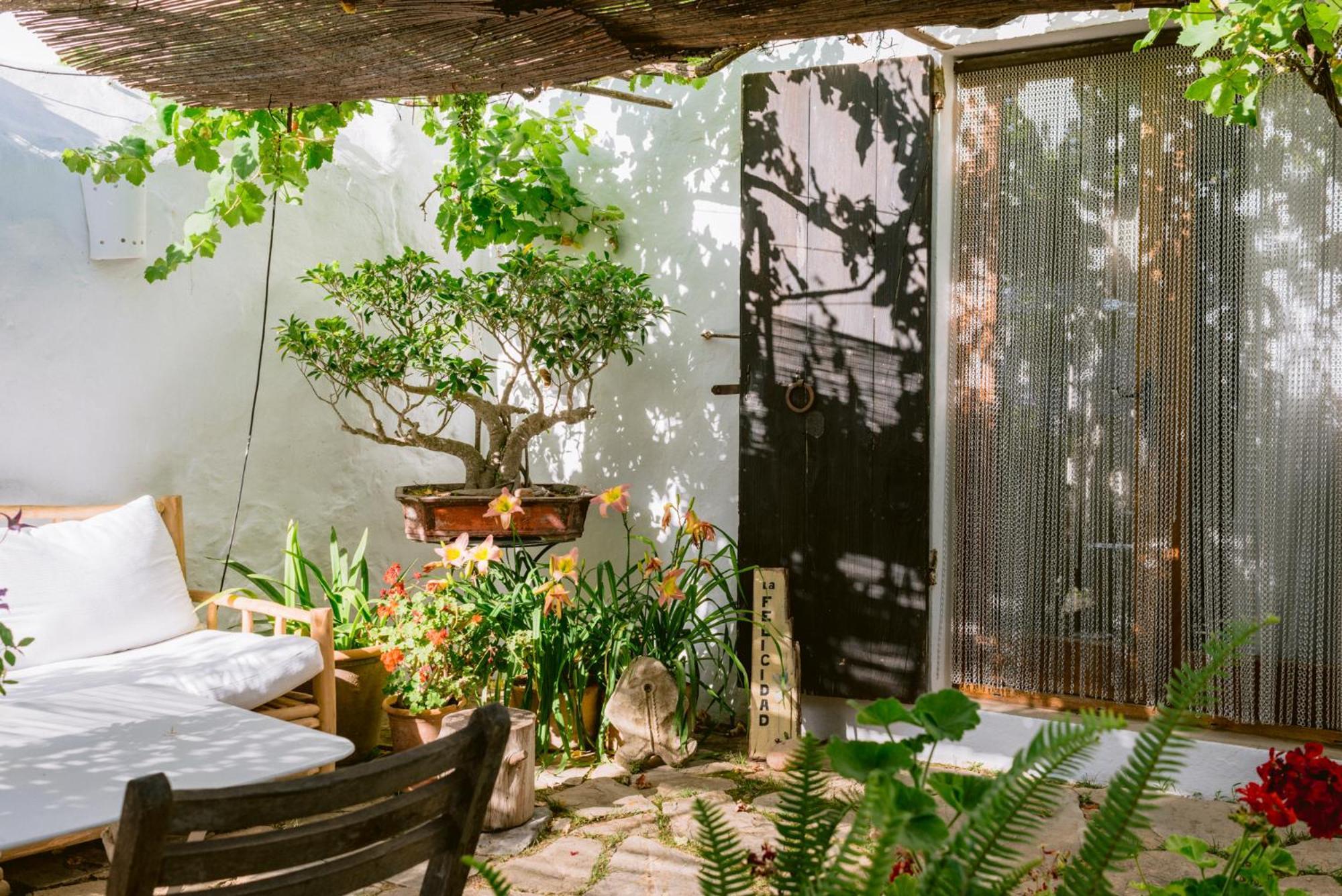 Can Quince Balafia Ibiza Hotel - Turismo De Interior Sant Llorenc de Balafia Dış mekan fotoğraf