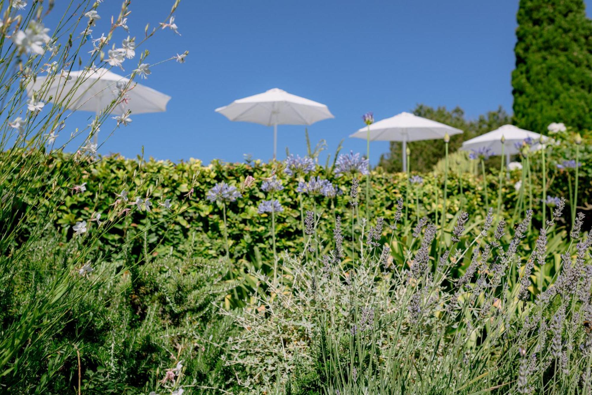 Can Quince Balafia Ibiza Hotel - Turismo De Interior Sant Llorenc de Balafia Dış mekan fotoğraf